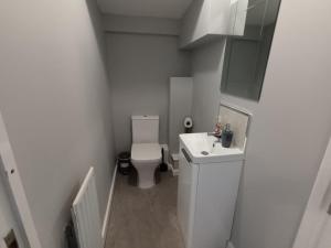 a small white bathroom with a toilet and a sink at 2 Bed House - Sleeps 6 - Parking - Wifi in Oldbury +4 photos