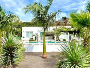 a palm tree in front of a house with a pool at Casa Tajuya in Los Llanos de Aridane
