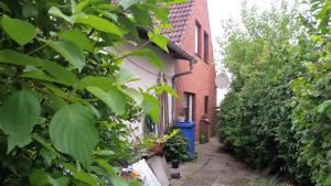 a small alley with a building and plants on it at Österdeichstrich in Oesterdeichstrich