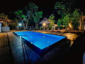 ウダワラウェにあるHotel Herb Gardenの夜間の大型スイミングプール(照明付)