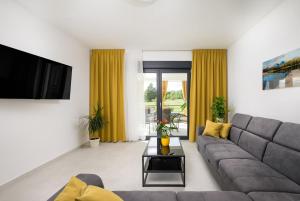 a living room with a couch and a tv at Villa Japlenica by Istrialux in Žagrići