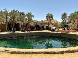 Fotografie z fotogalerie ubytování SiwaSiwa v destinaci Siwa + 13 fotografií