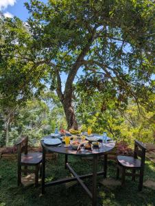 Κήπος έξω από το Country Cabin Ella