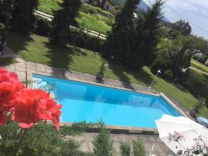 a blue swimming pool in a yard with a red flower at Haus Christof in Ledenitzen