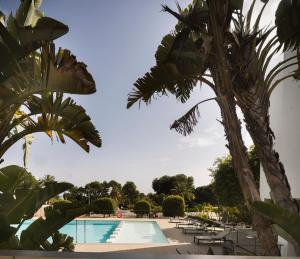 a view of a swimming pool with a palm tree at Hotel Masía Bellver in Benicàssim