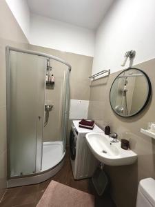 a bathroom with a shower and a sink and a mirror at CHERRY apartment in Riga