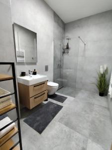 a bathroom with a sink and a toilet and a shower at Apartman Emily B311 in Veselé