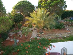 a garden with palm trees and other plants at Panoramic Seaview Holiday House in Souda