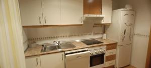 eine kleine Küche mit Spüle und Kühlschrank in der Unterkunft Naturaleza y Golf in San Jorge