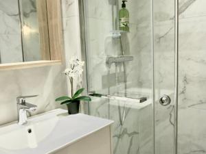 a bathroom with a shower with a sink and a toilet at Les Petits Volets Appartements in Antibes