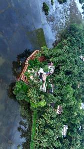 KānnangādにあるSamridhi Lake viewの水辺に広がる木々の空中写真
