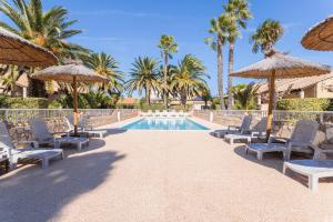 a resort pool with chairs and umbrellas and palm trees at Gîte Le 878 in Roquefort-des-Corbières
