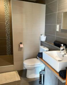 ein Badezimmer mit einer weißen Toilette und einem Waschbecken in der Unterkunft Gîte trois étoiles, maison de campagne in Fiac