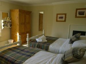 a bedroom with two beds in a room at The Helyar Arms in Yeovil +3 photos