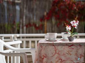 Galería fotográfica de House Aggeliki en Kalamitsi