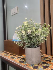 Fotografie z fotogalerie ubytování Shipu Hotel v destinaci Pu-pien + 11 fotografií