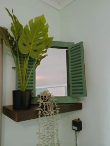 a mirror on a wall with plants on a shelf at Be Our Guest Near OR Tambo International Airport 2 in Boksburg