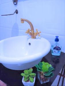 a white sink with two potted plants on a counter at Be Our Guest Near OR Tambo International Airport 2 in Boksburg