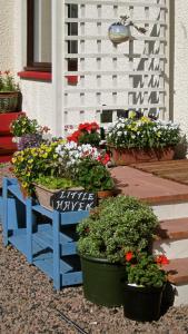 a blue bench with flowers and plants in it at Little Haven in Gairloch