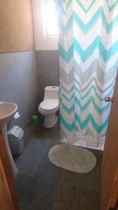 a bathroom with a toilet and a shower curtain at Hermosa cabaña 4 personas - Cochiguaz -Valle de Elqui in Monte Grande