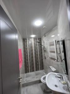 ペデルナレスにあるRemanso de Pazのシャワー、トイレ、洗面台を備えたバスルーム