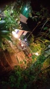 ムンナルにあるMunnar Plantation Home stay Tea Dropsの夜の鉄道の庭の景色
