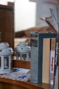 two books sitting on top of a wooden shelf at Apartment Oganj in Jahorina