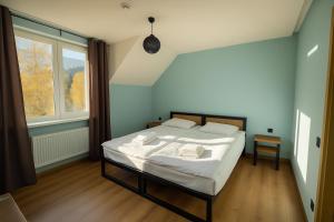 a bedroom with a bed and a large window at AINO Hotel in Pilipets +54 photos