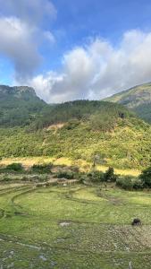 a grassy field with a mountain in the background at The Portal Manigala in Matale