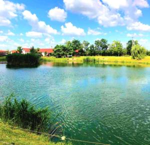 a large body of water on a sunny day at Betyár-Lak in Kaba