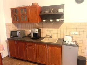 a kitchen with a sink and a microwave at Betyár-Lak in Kaba
