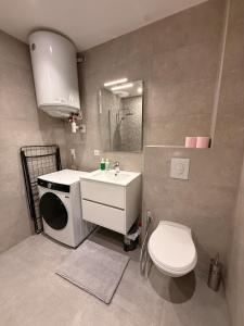 a small bathroom with a toilet and a sink at Vue imprenable - Place de la République in Belfort +14 photos