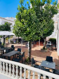 a tree in a patio with tables and chairs at Playa Golf Apartamentos con Piscina in Benalmádena