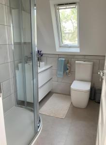 a bathroom with a toilet and a sink and a window at Seahorse in Sark