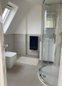 a bathroom with a shower and a toilet and a sink at Seahorse in Sark +4 photos