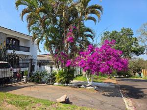 a tree with purple flowers in front of a house at Casa no centro de Foz com churrasqueira e piscina in Foz do Iguaçu
