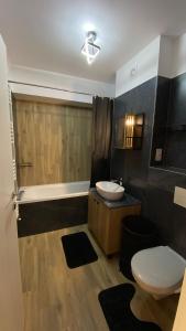 a bathroom with a sink and a toilet at LCB Studio Braşov in Braşov