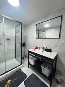 un baño con lavabo y ducha en Paris Expo Ranko, en Vanves