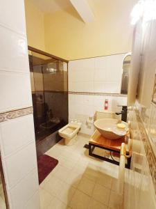 a bathroom with a sink and a shower and a toilet at House next to Paseo Libertad in Salta +11 photos