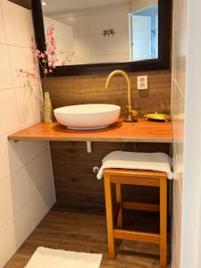 Un mostrador de baño con un lavabo y un taburete. en De kleine Bongerd -The little Orchard, en Hengelo