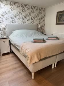 Una cama con dos almohadas encima en un dormitorio. en De kleine Bongerd -The little Orchard, en Hengelo