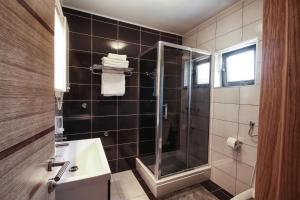 a bathroom with a shower and a sink at Countryside Apartment in Rakovica +21 photos