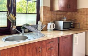 eine Küchentheke mit Spüle und Mikrowelle in der Unterkunft 3 Bedroom Cozy Home In Debina in Debina