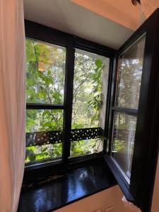 a window in a room with a view of trees at City Center Deluxe in Kranj