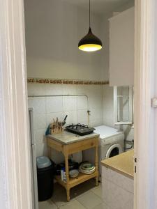 チュニスにあるLafayette Central Apartmentのキッチン(コンロ、シンク、洗濯機付)