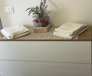 ペルージャにあるCasa BELLOCCHIOの2つの枕と鉢植えが置かれたテーブル +19枚の写真