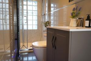 a bathroom with a toilet and a sink and a window at Modern 3-Bed Flat Prime Falkirk Location in Falkirk +11 photos