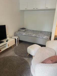 a living room with a couch and a tv at Moderni yksiö, omalla autopaikalla in Joensuu