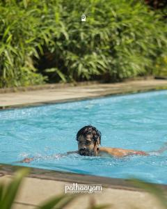 Gallery image of pathaayam farm view wayanad in Kalpetta