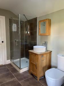 a bathroom with a shower and a sink and a toilet at The Old Piggery - tranquil garden guest cottage in Hail Weston +19 photos